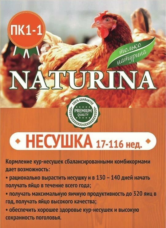 Где Купить Куриц Несушек В Новосибирске